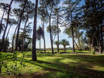 casadiriposo-esterno-alberi